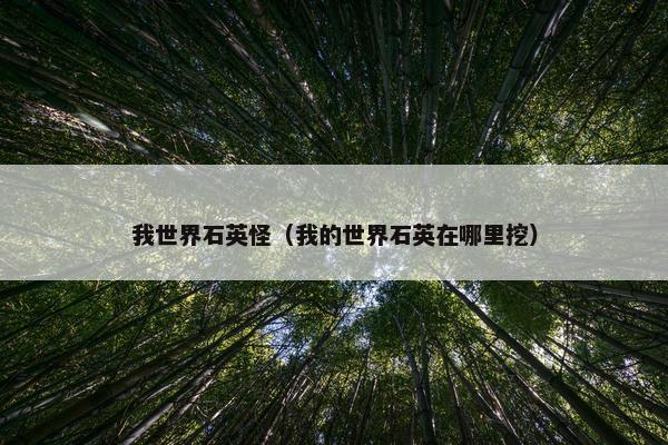 我世界石英怪（我的世界石英在哪里挖）