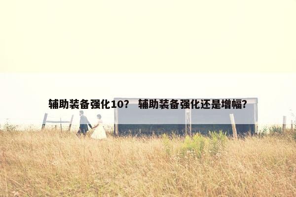 辅助装备强化10？ 辅助装备强化还是增幅？