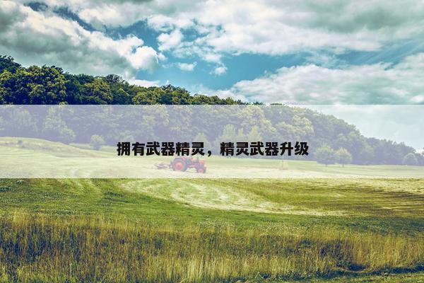 拥有武器精灵，精灵武器升级