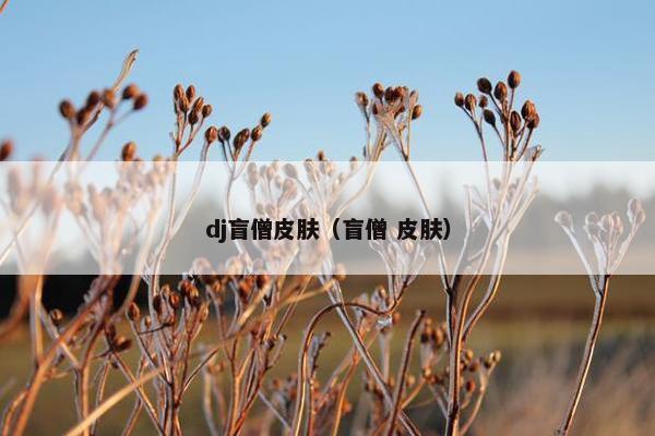 dj盲僧皮肤（盲僧 皮肤）