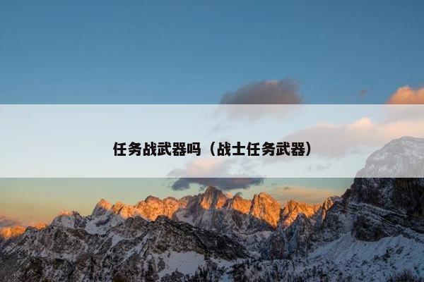 任务战武器吗（战士任务武器）