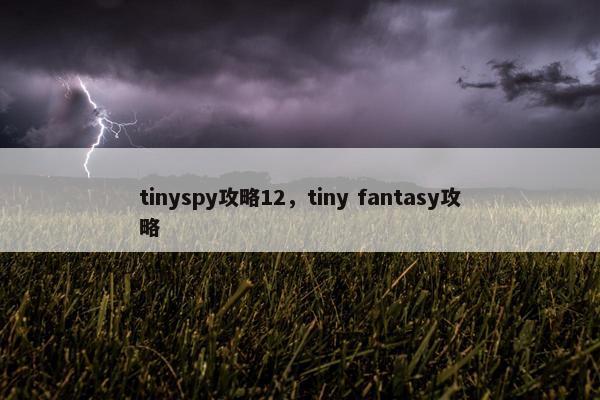 tinyspy攻略12，tiny fantasy攻略