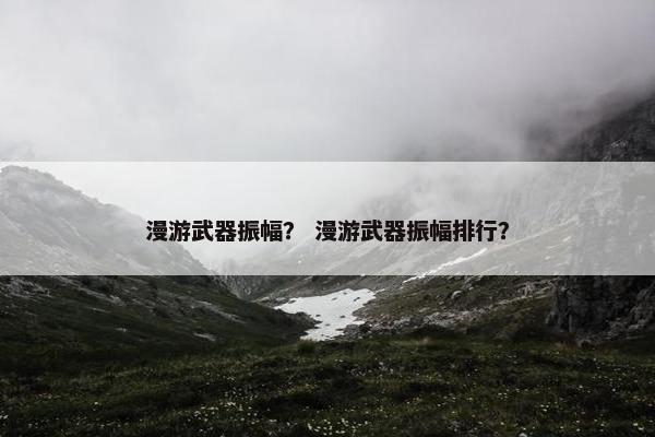 漫游武器振幅？ 漫游武器振幅排行？