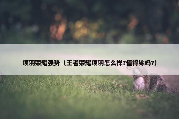 项羽荣耀强势(王者荣耀项羽怎么样?值得练吗?) 项羽荣耀强势(王者荣耀项羽怎么样?值得练吗?)