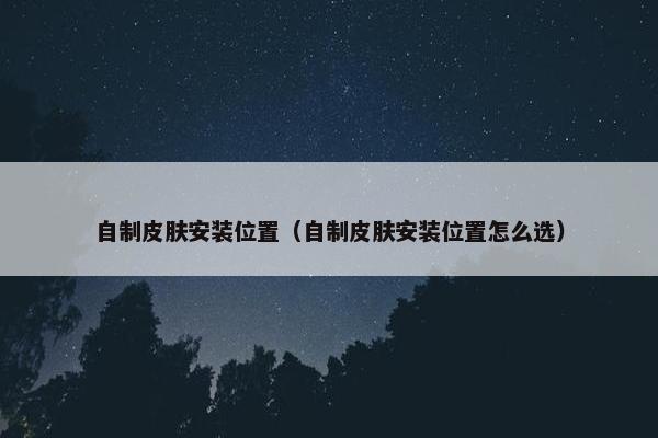 自制皮肤安装位置（自制皮肤安装位置怎么选）