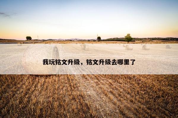 我玩铭文升级,铭文升级去哪里了 我玩铭文升级,铭文升级去哪里了