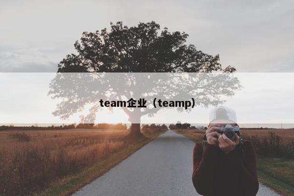 team企业(teamp) team企业(teamp)