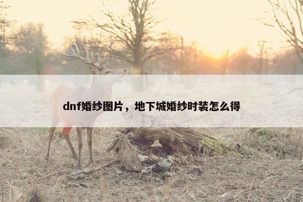 dnf婚纱图片,地下城婚纱时装怎么得 dnf婚纱图片,地下城婚纱时装怎么得