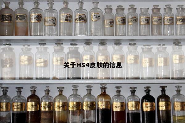 关于HS4皮肤的信息