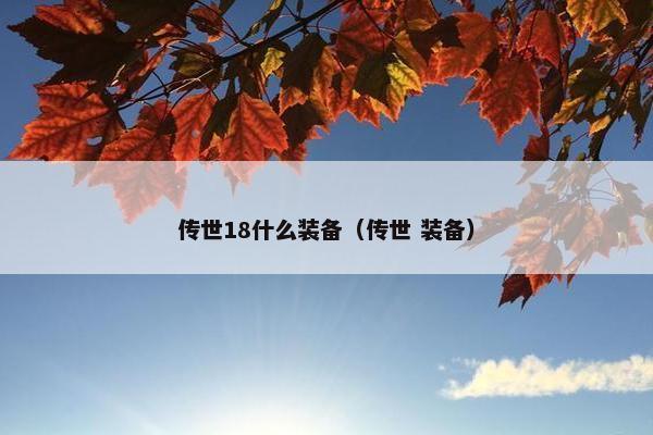 传世18什么装备（传世 装备）