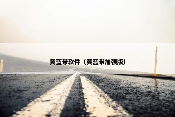 黄蓝带软件（黄蓝带加强版）