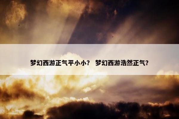 梦幻西游正气平小小? 梦幻西游浩然正气? 梦幻西游正气平小小? 梦幻西游浩然正气?