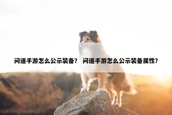 问道手游怎么公示装备？ 问道手游怎么公示装备属性？