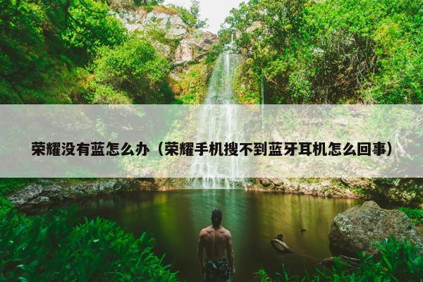 荣耀没有蓝怎么办（荣耀手机搜不到蓝牙耳机怎么回事）