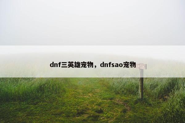 dnf三英雄宠物，dnfsao宠物