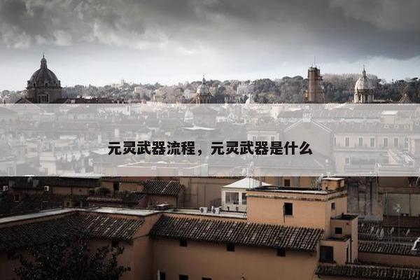 元灵武器流程,元灵武器是什么 元灵武器流程,元灵武器是什么