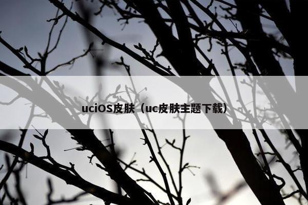 uciOS皮肤（uc皮肤主题下载）