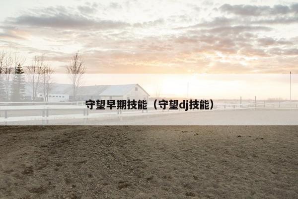 守望早期技能（守望dj技能）