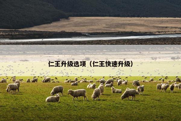 仁王升级选项（仁王快速升级）