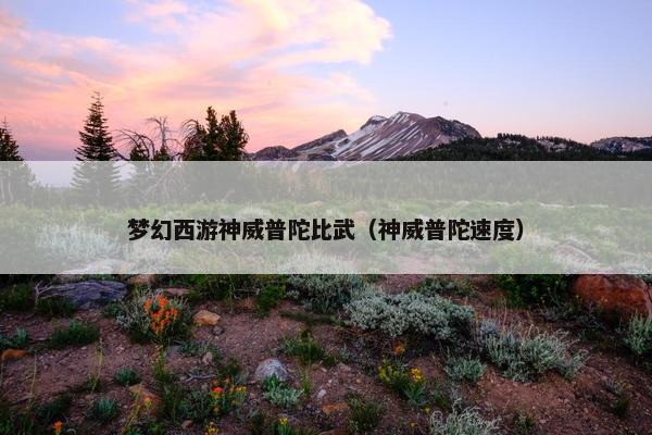 梦幻西游神威普陀比武（神威普陀速度）