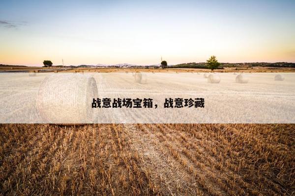 战意战场宝箱,战意珍藏 战意战场宝箱,战意珍藏