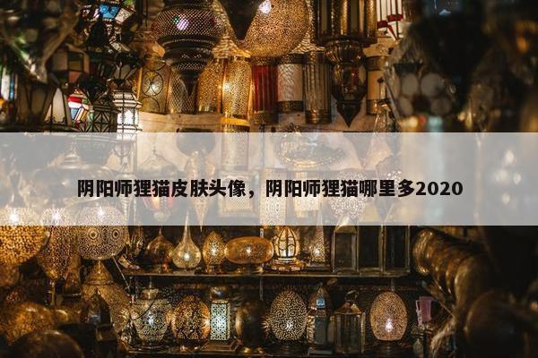阴阳师狸猫皮肤头像，阴阳师狸猫哪里多2020