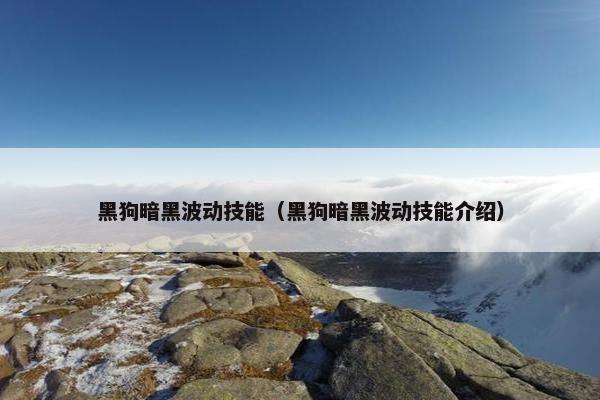 黑狗暗黑波动技能（黑狗暗黑波动技能介绍）