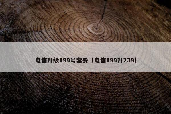电信升级199号套餐(电信199升239) 电信升级199号套餐(电信199升239)