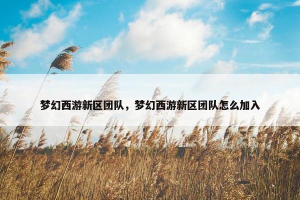 梦幻西游新区团队，梦幻西游新区团队怎么加入