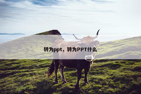 转为ppt,转为PPT什么 转为ppt,转为PPT什么