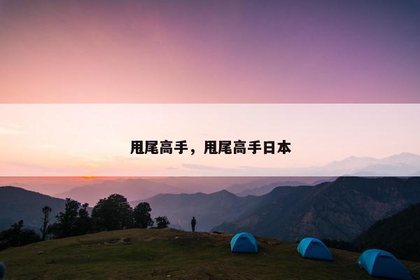 甩尾高手,甩尾高手日本 甩尾高手,甩尾高手日本