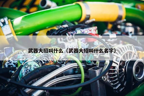 武器大招叫什么（武器大招叫什么名字）