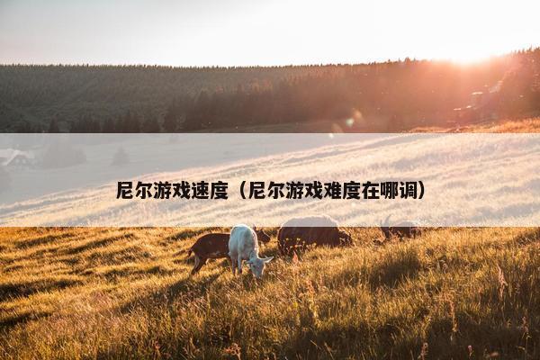 尼尔游戏速度（尼尔游戏难度在哪调）