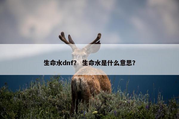 生命水dnf？ 生命水是什么意思？