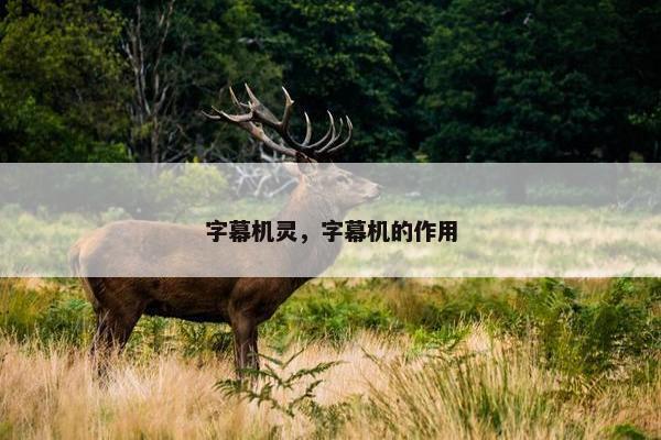 字幕机灵，字幕机的作用