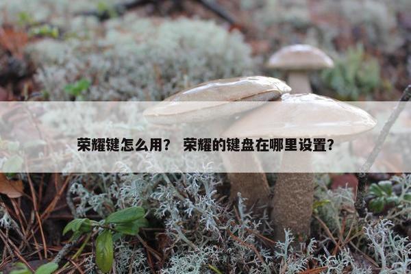 荣耀键怎么用? 荣耀的键盘在哪里设置? 荣耀键怎么用? 荣耀的键盘在哪里设置?