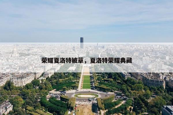 荣耀夏洛特被草，夏洛特荣耀典藏