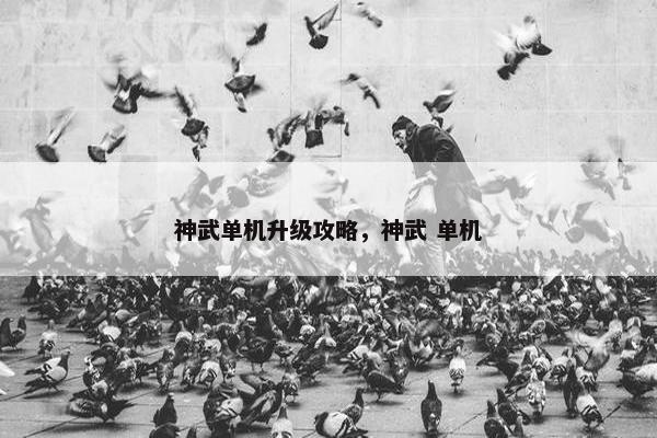 神武单机升级攻略，神武 单机
