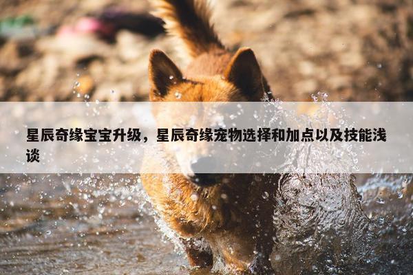 星辰奇缘宝宝升级，星辰奇缘宠物选择和加点以及技能浅谈
