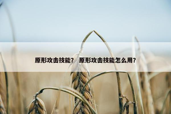 原形攻击技能？ 原形攻击技能怎么用？