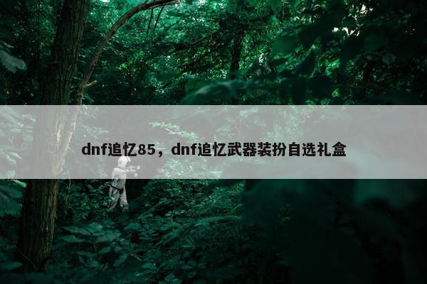 dnf追忆85,dnf追忆武器装扮自选礼盒 dnf追忆85,dnf追忆武器装扮自选礼盒