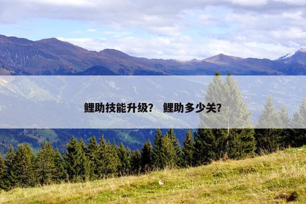 鲤助技能升级？ 鲤助多少关？
