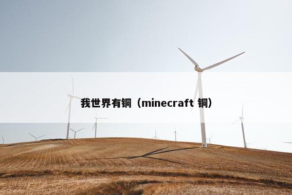 我世界有铜(minecraft 铜) 我世界有铜(minecraft 铜)