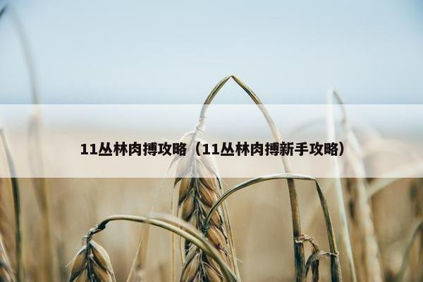 11丛林肉搏攻略（11丛林肉搏新手攻略）