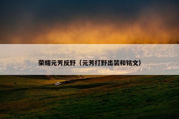 荣耀元芳反野（元芳打野出装和铭文）