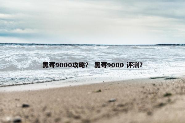 黑莓9000攻略？ 黑莓9000 评测？