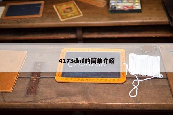 4173dnf的简单介绍