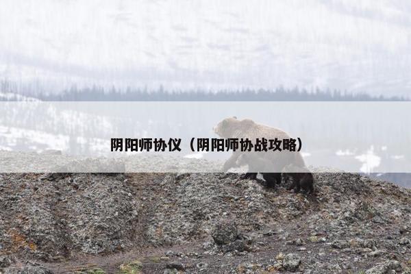 阴阳师协仪（阴阳师协战攻略）