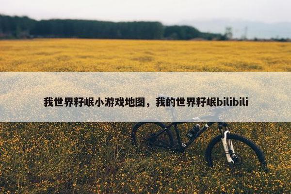 我世界籽岷小游戏地图，我的世界籽岷bilibili