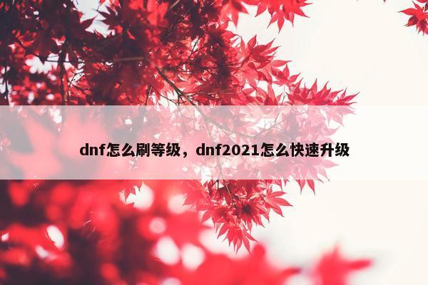 dnf怎么刷等级，dnf2021怎么快速升级